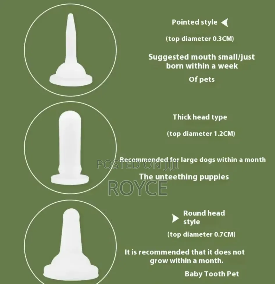 Pet Feeding Syringe Set