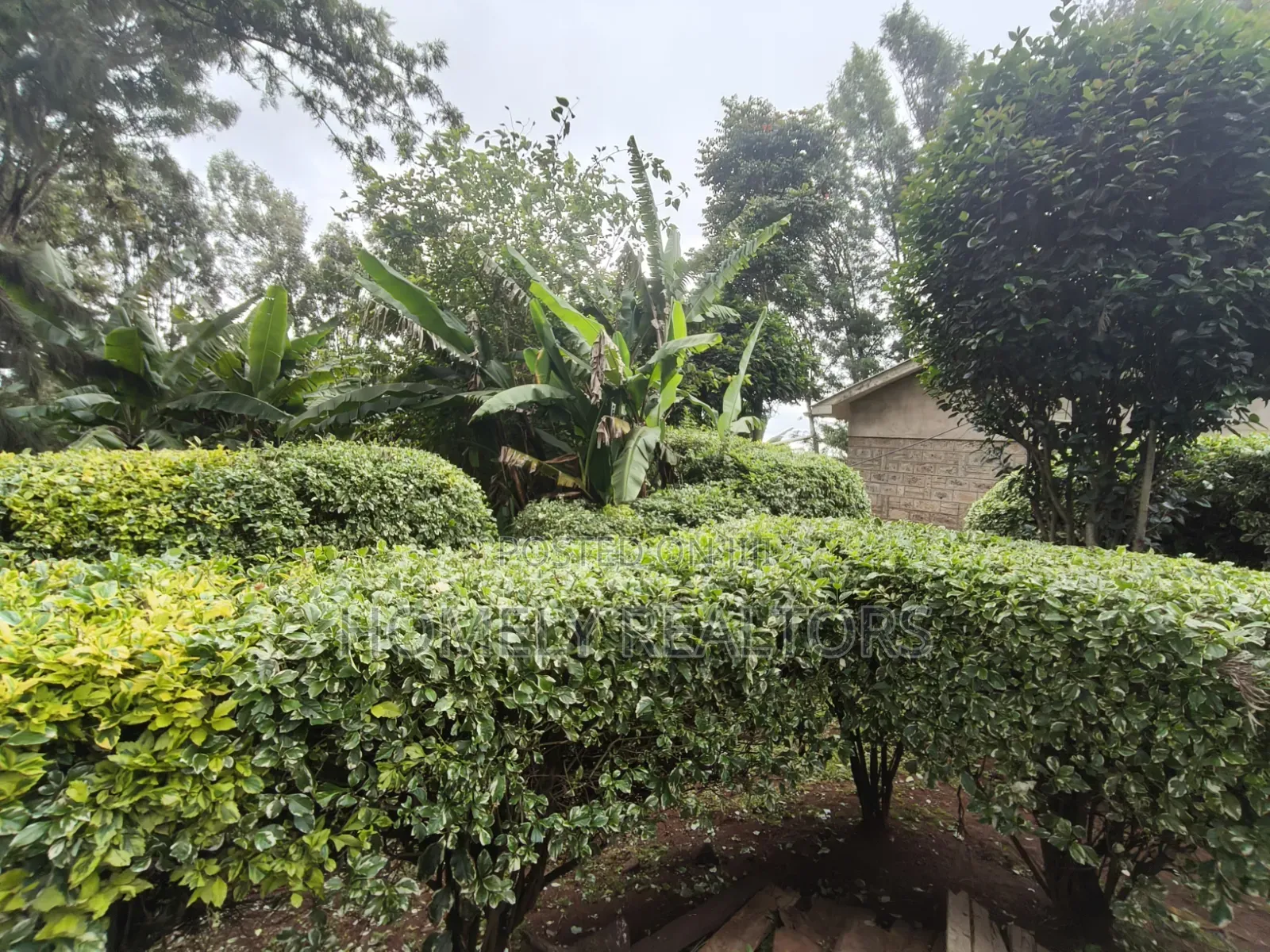 Quarter Acre Plot With a 3-Bedroomed House for Sale in Ngong Town