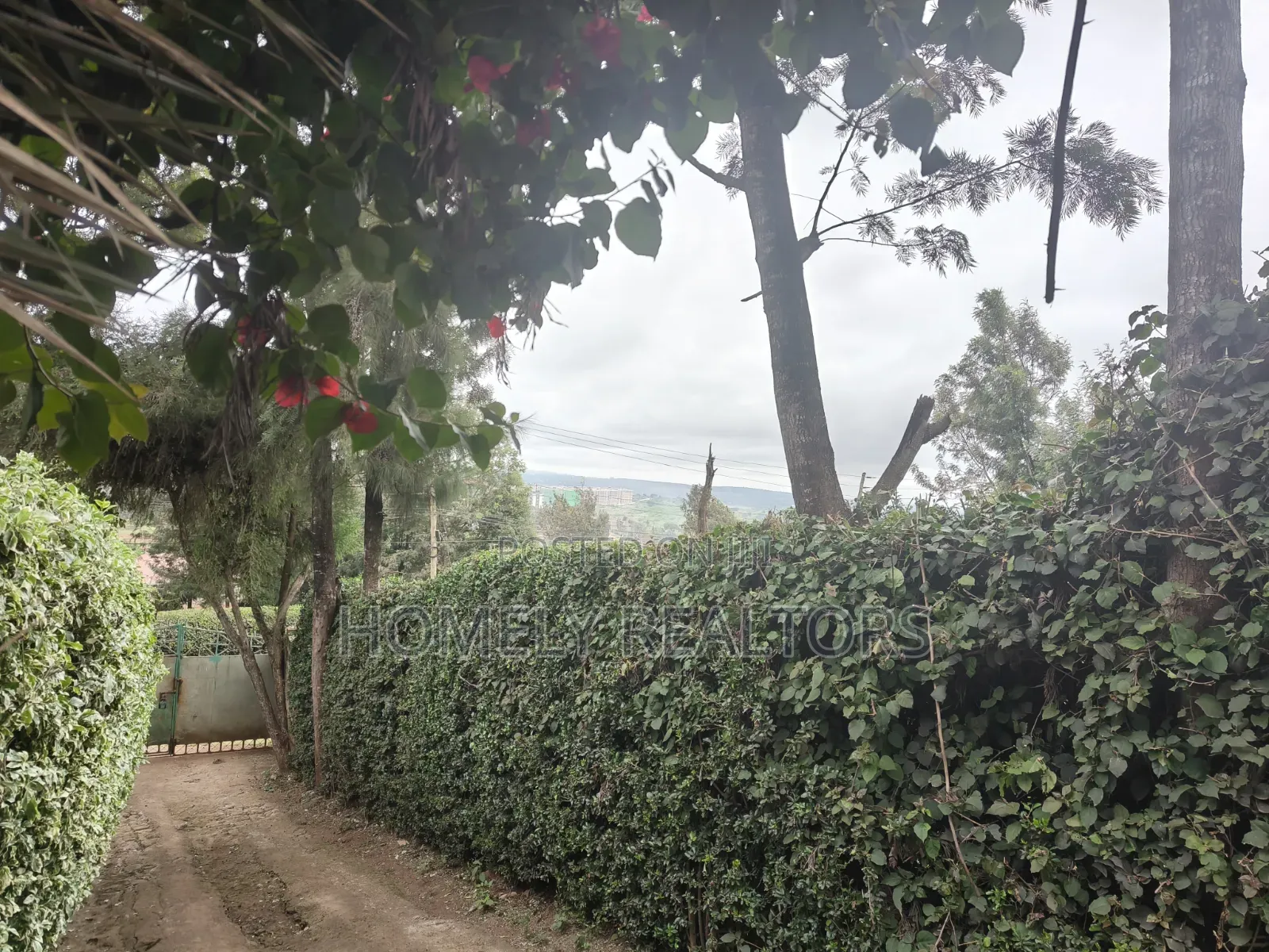 Quarter Acre Plot With a 3-Bedroomed House for Sale in Ngong Town