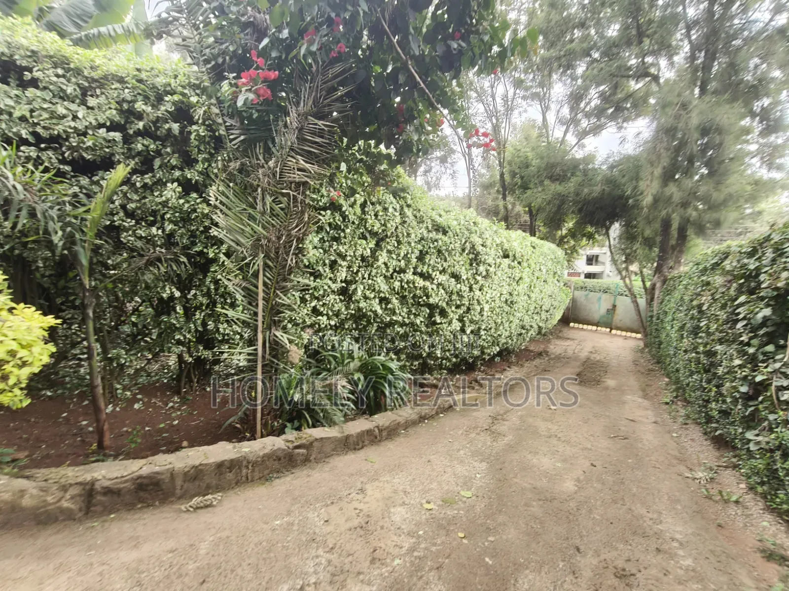 Quarter Acre Plot With a 3-Bedroomed House for Sale in Ngong Town