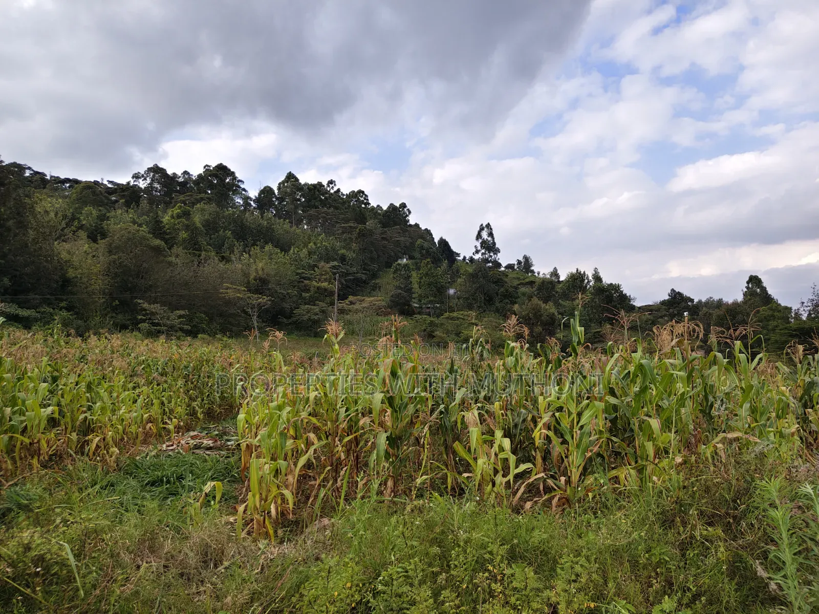 50×100 Plots for Sale in Kiserian.