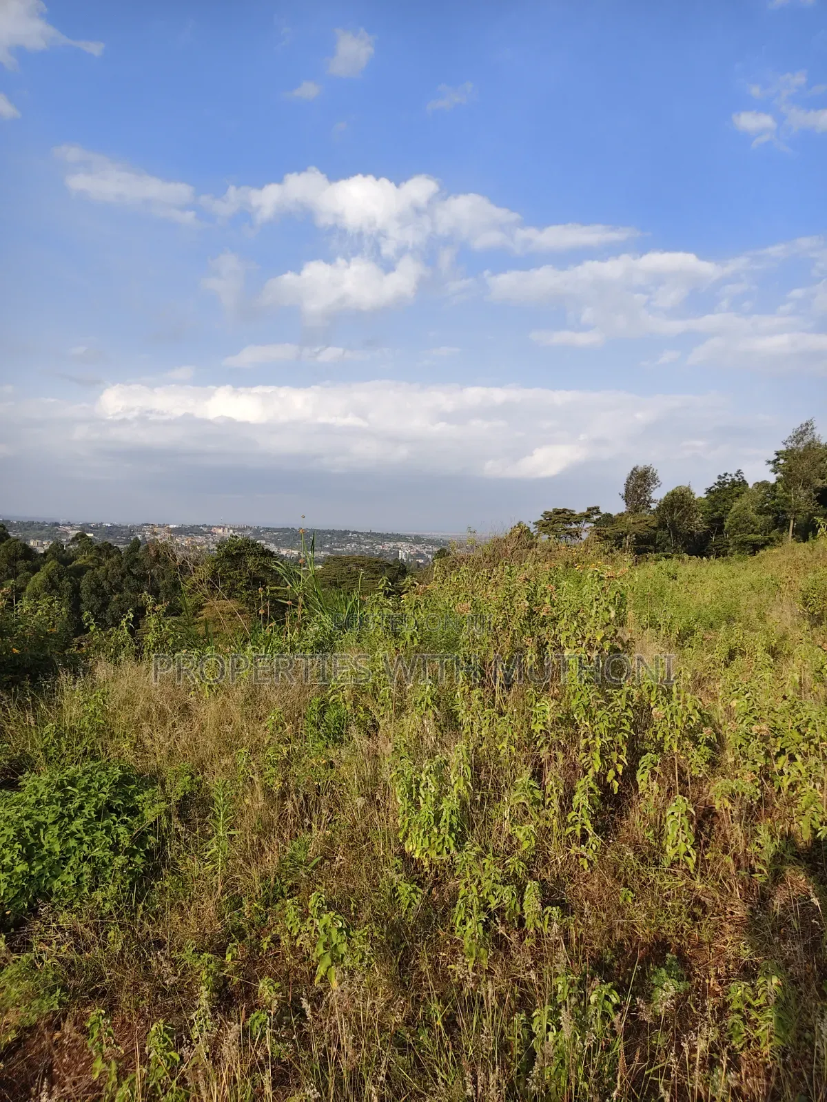 50×100 Plots for Sale in Kiserian.