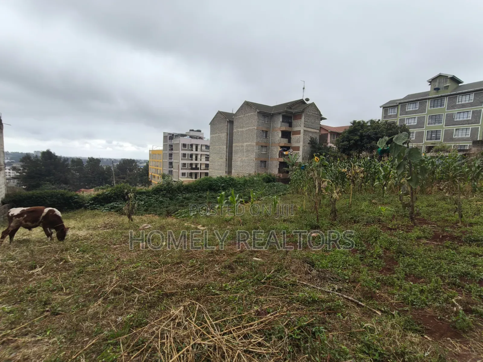 Commercial Eighth Acre Plot for Sale in Ngong CBD Touching Tarmac