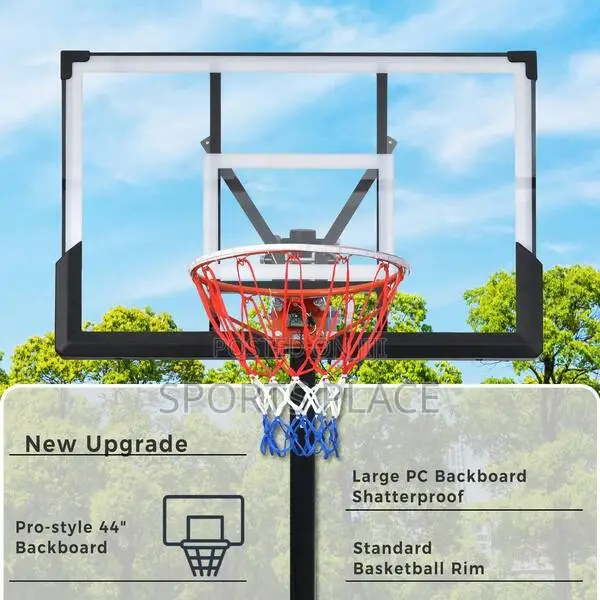 Complete Backboard - Glass, Hoop + Net
