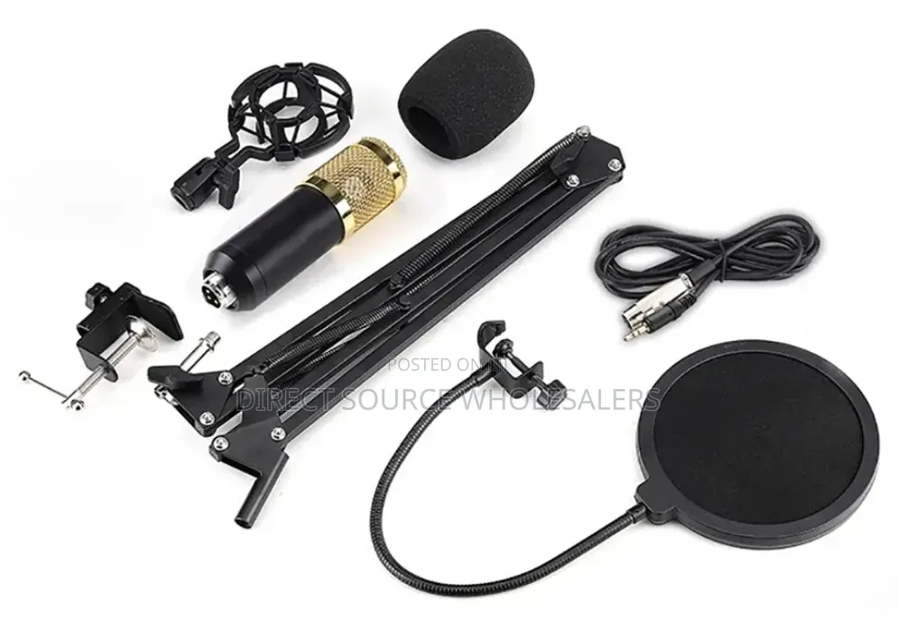 Professional Condenser Microphone for Recording Streaming