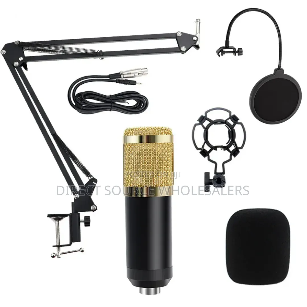 Professional Vocal Recording Microphone