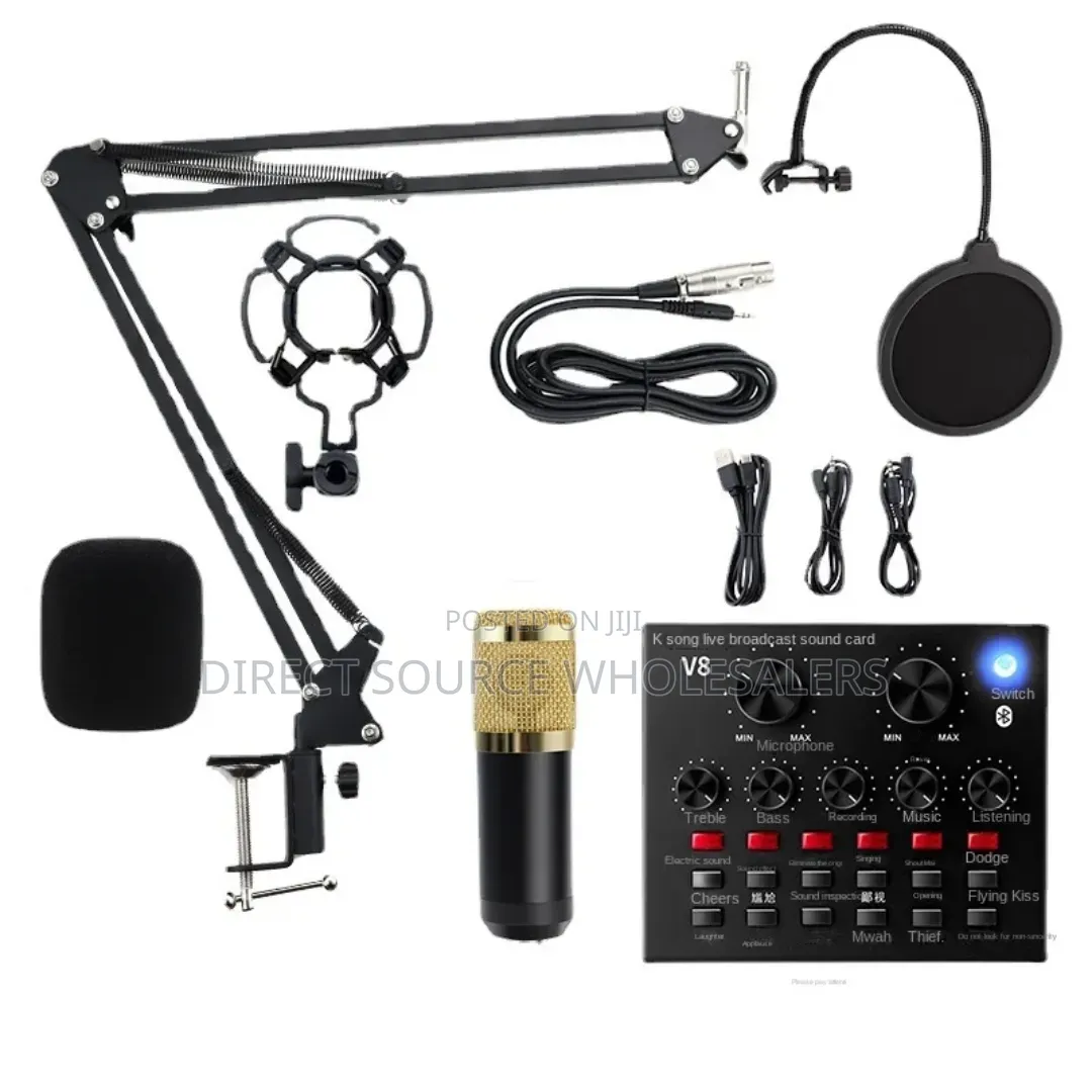 Professional Vocal Recording Microphone
