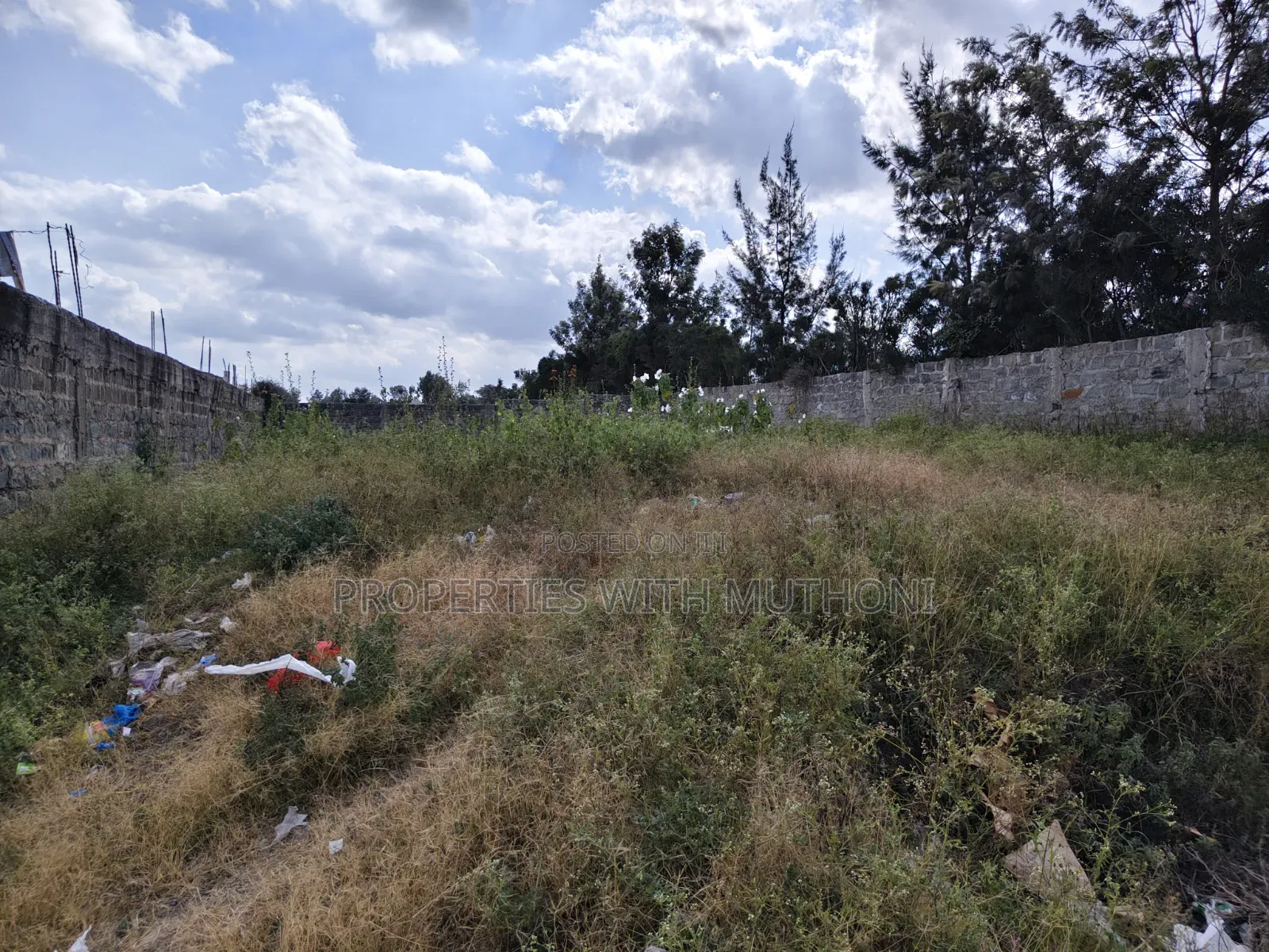 Commercial Plots for Sale in Birika.