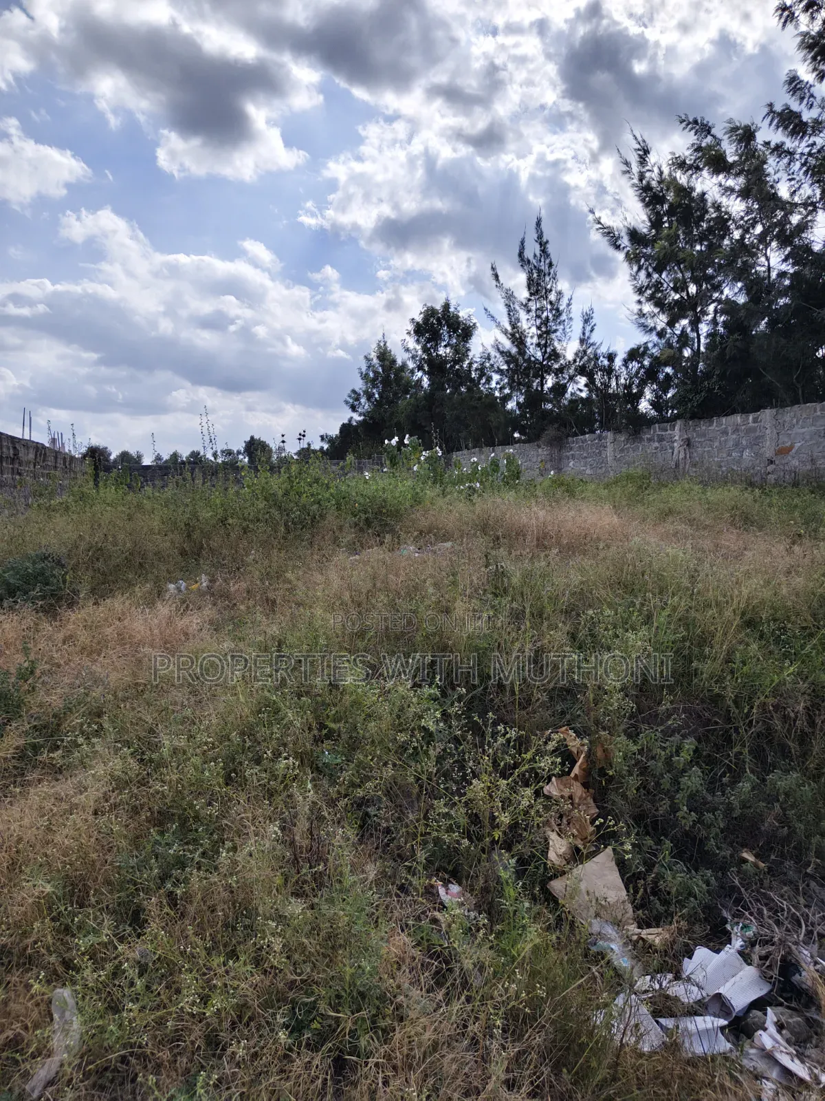 Commercial Plots for Sale in Birika.