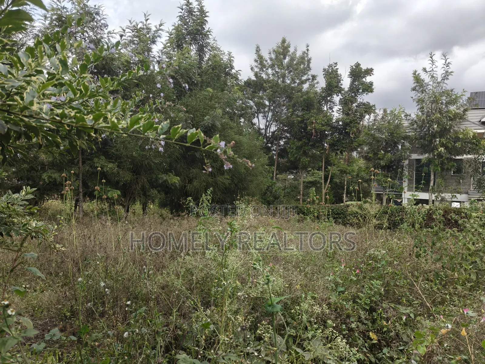 Eighth Acre Plot for Sale in Ngong, Matasia in a Residential Drive
