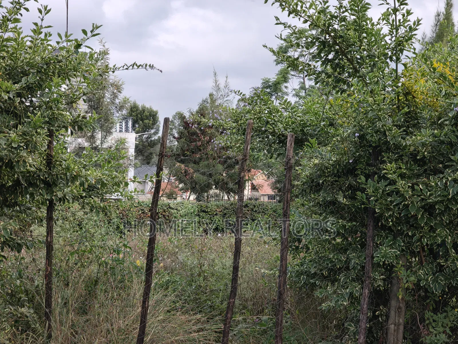 Eighth Acre Plot for Sale in Ngong, Matasia in a Residential Drive