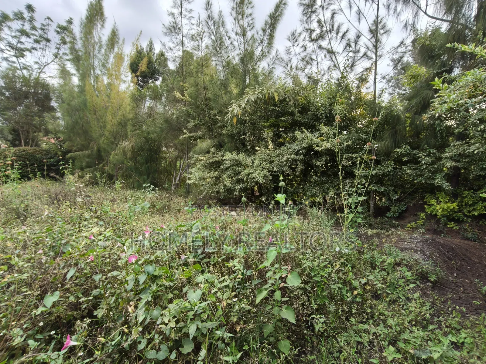 Residential Quarter Acre Plot for Sale in Matasia, Ngong. Good Views