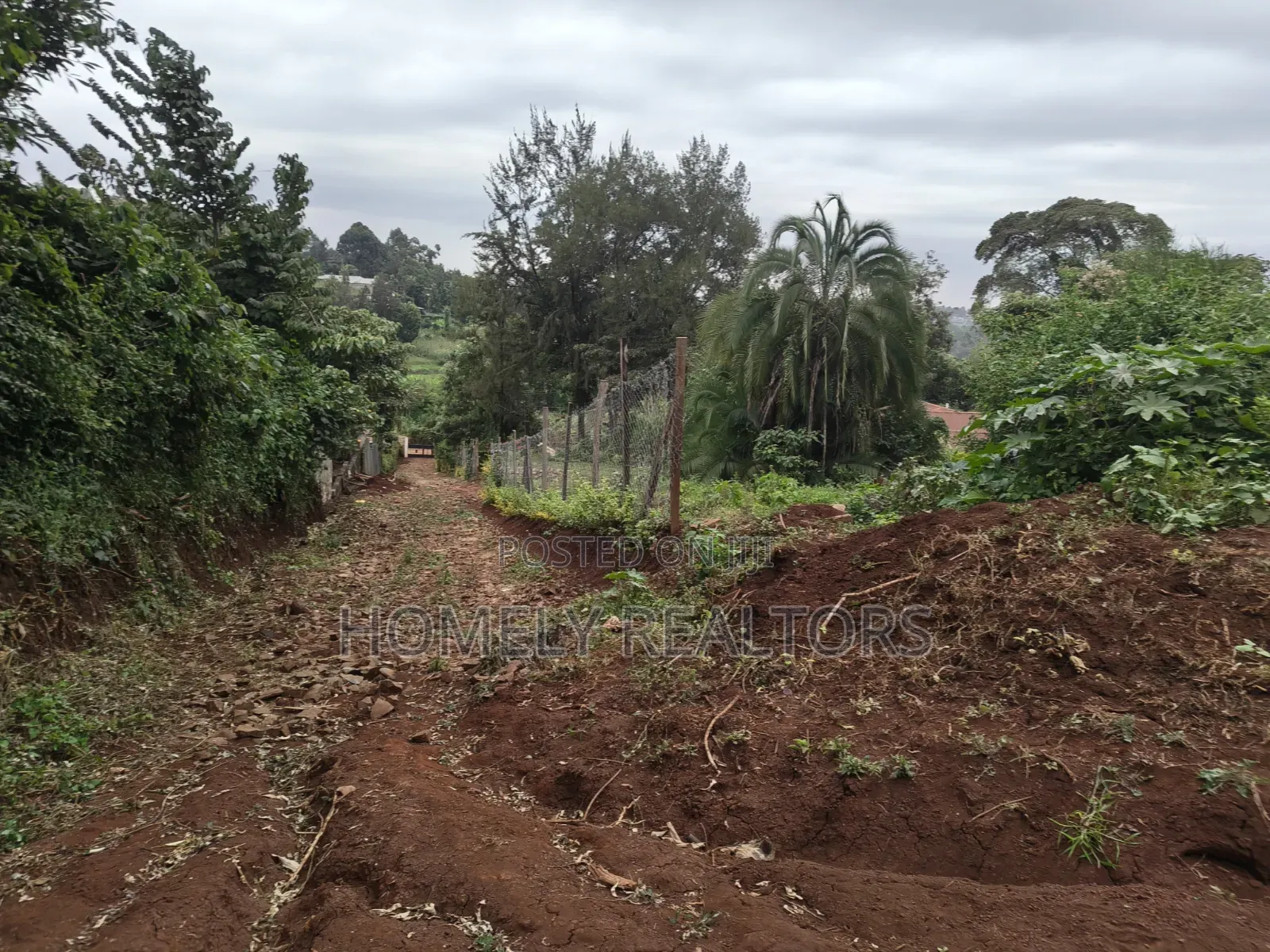 Affordable Quarter Acre Plot in Ngong, Matasia Along Silanga Road