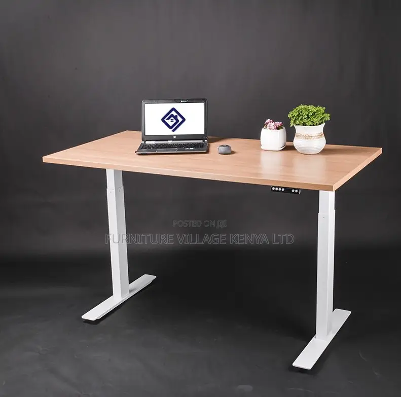 120cm Motorable Standing Desk