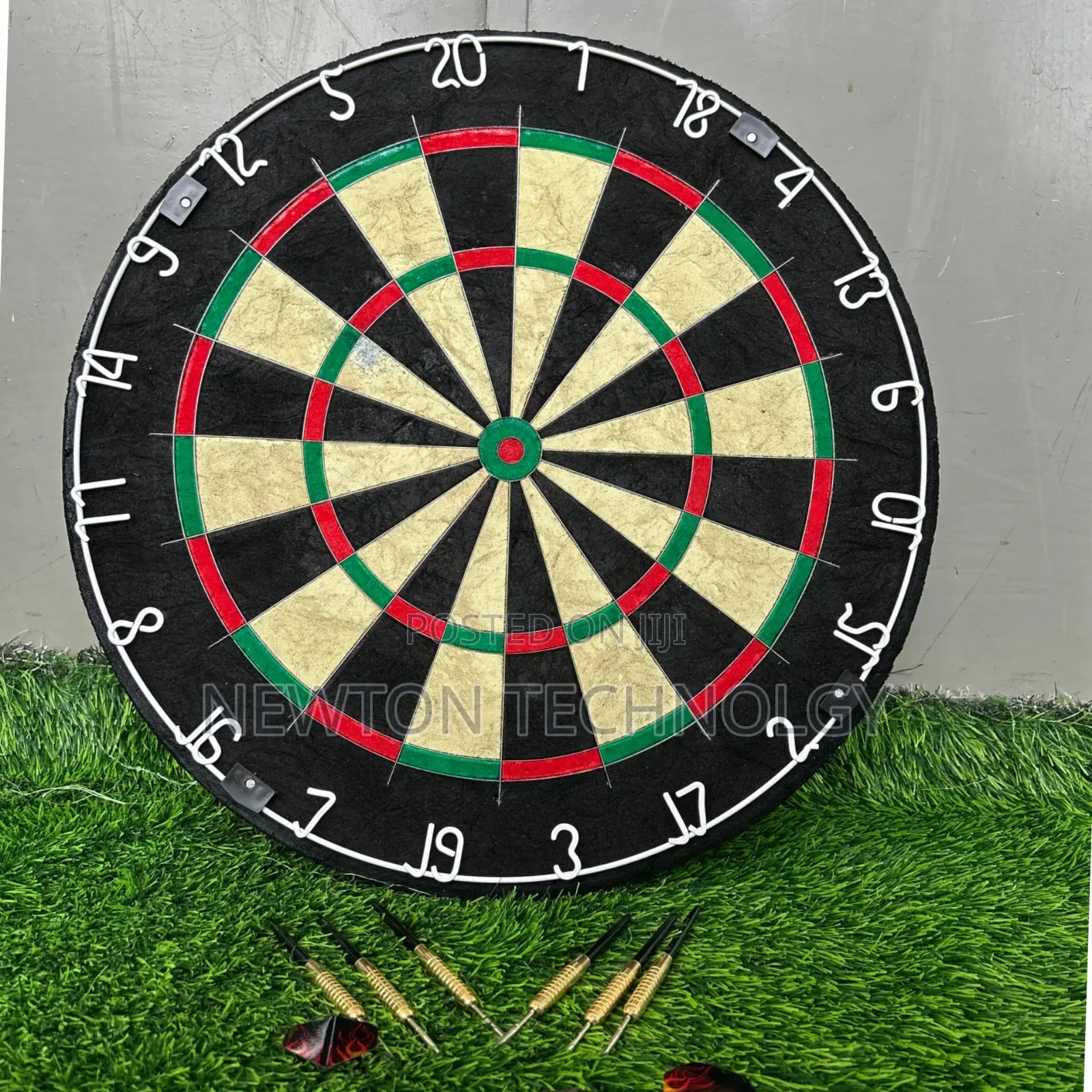 Professional Dart Board