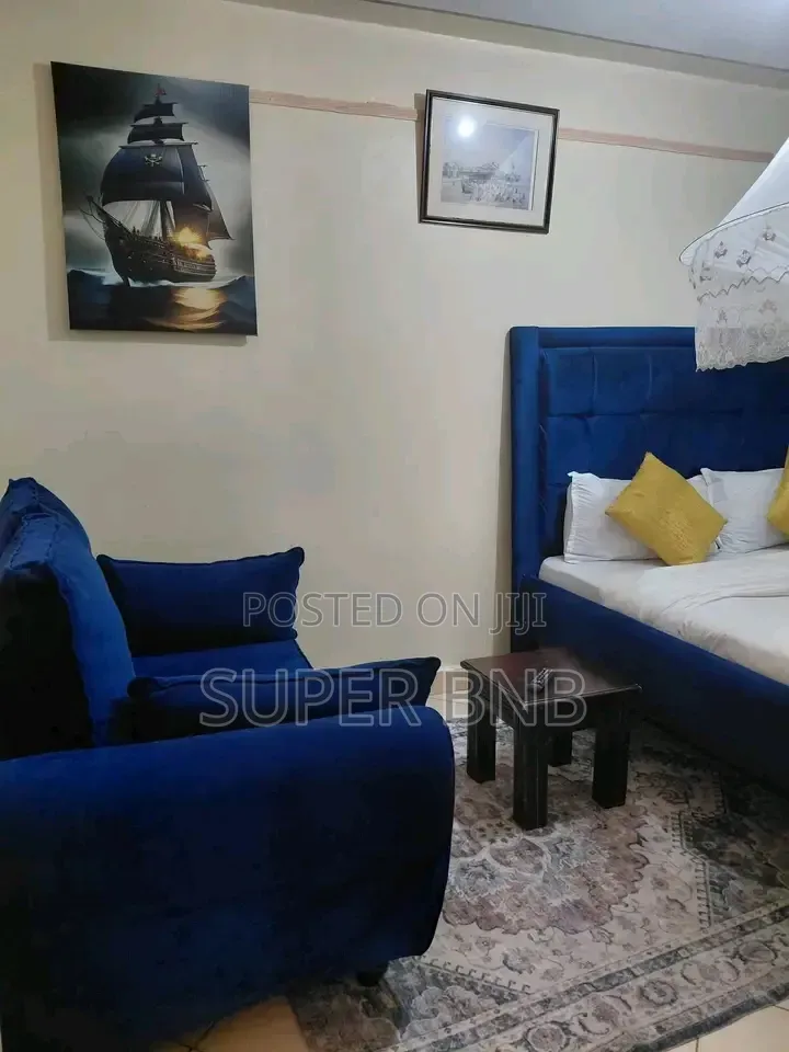 Studio and Bedsitter Available in South B