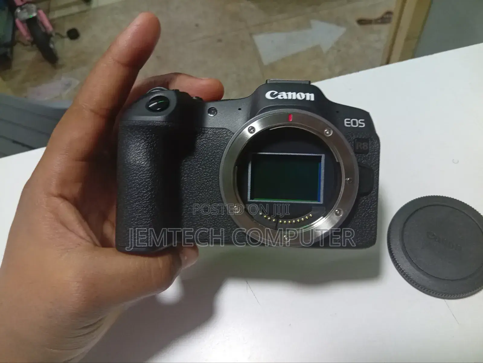Canon Eos R8 Rf 24-50 (Single) Kit