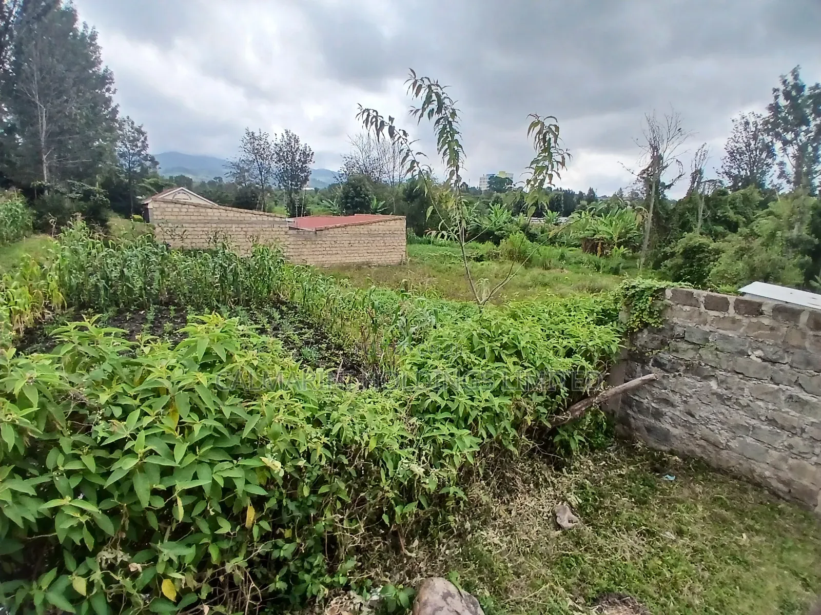 Distress Sale! Prime Commercial 100 by 100 Plot in Kiserian, Ngong