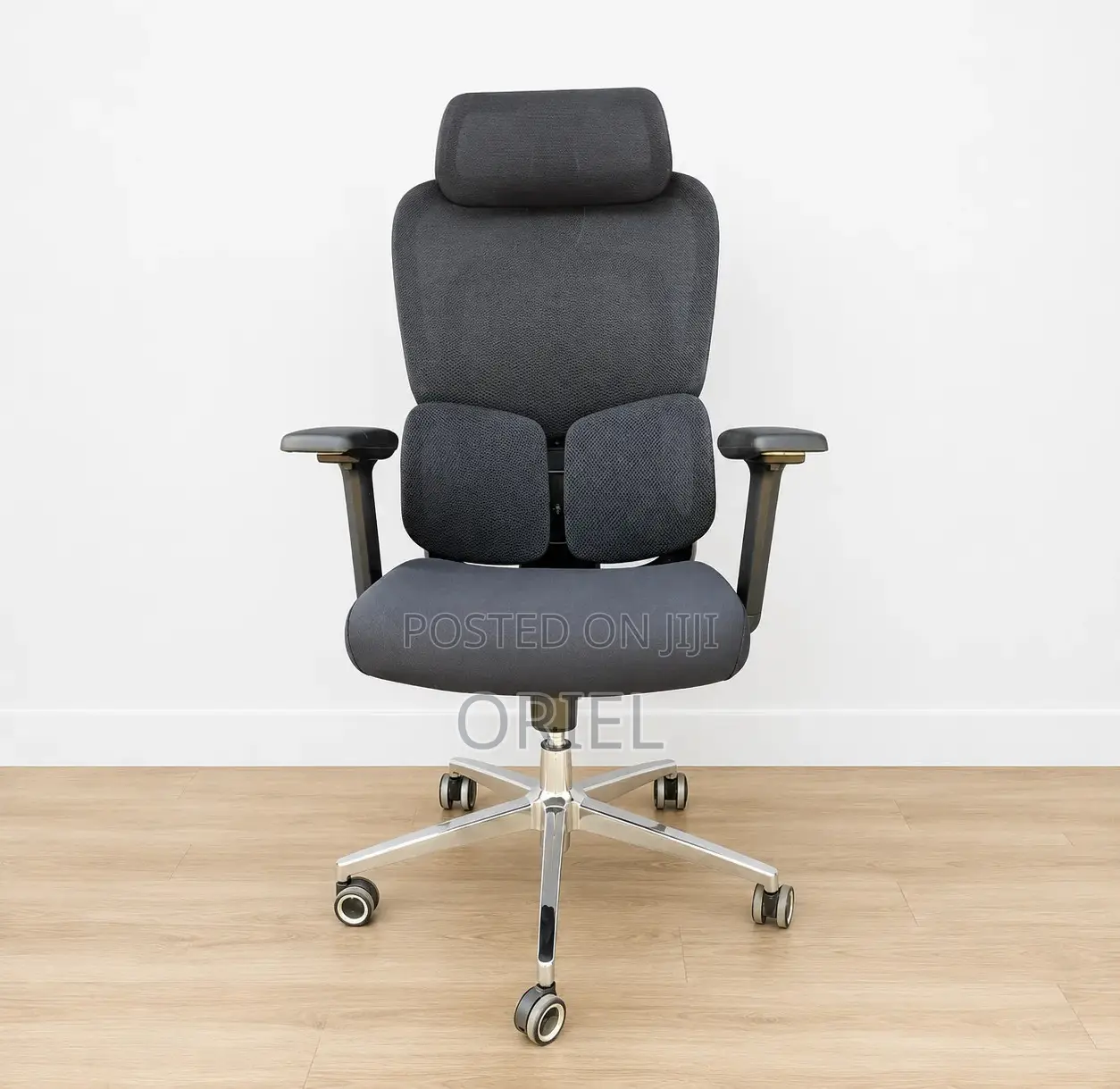 Executive Office Chair : Orthopedic Swivel Chair
