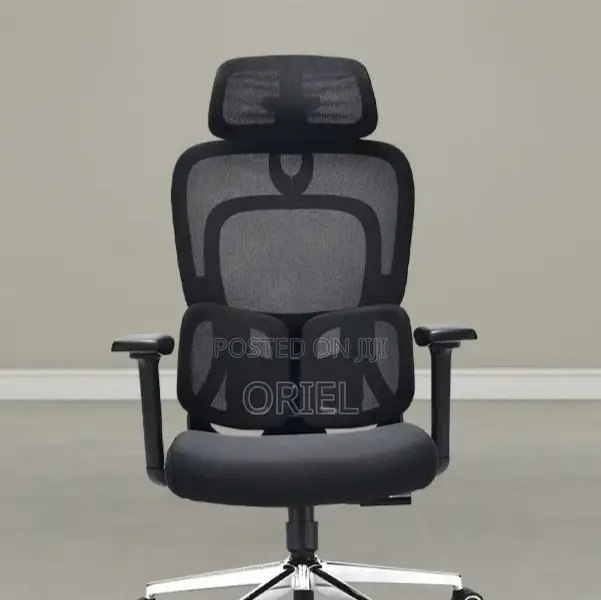 Executive Office Chair : Orthopedic Swivel Chair
