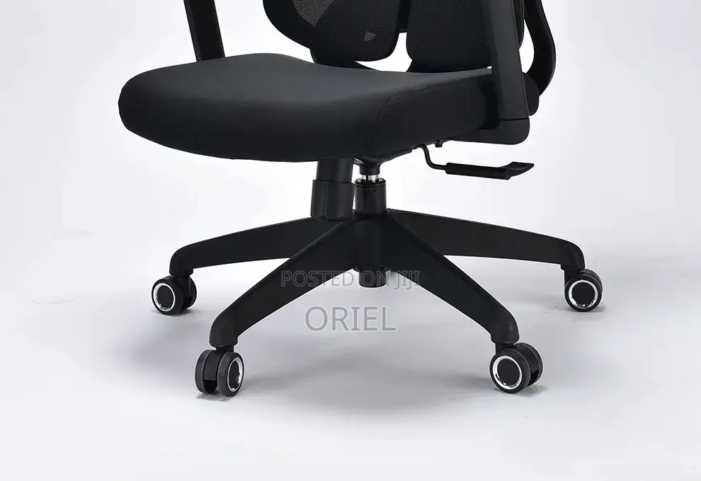 Executive Office Chair : Orthopedic Swivel Chair