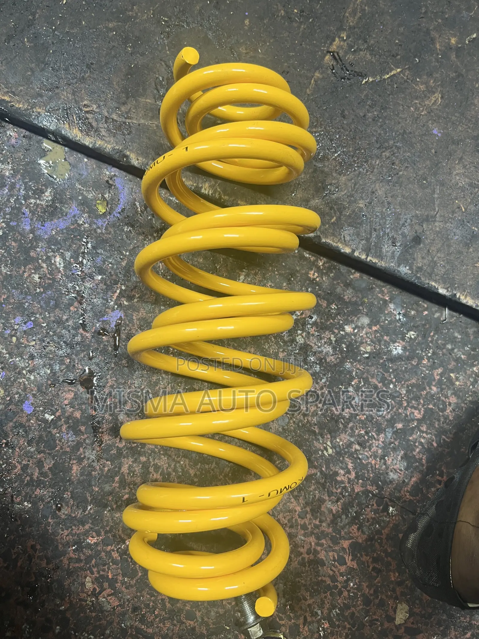 Rear Springs Toyota Ractis