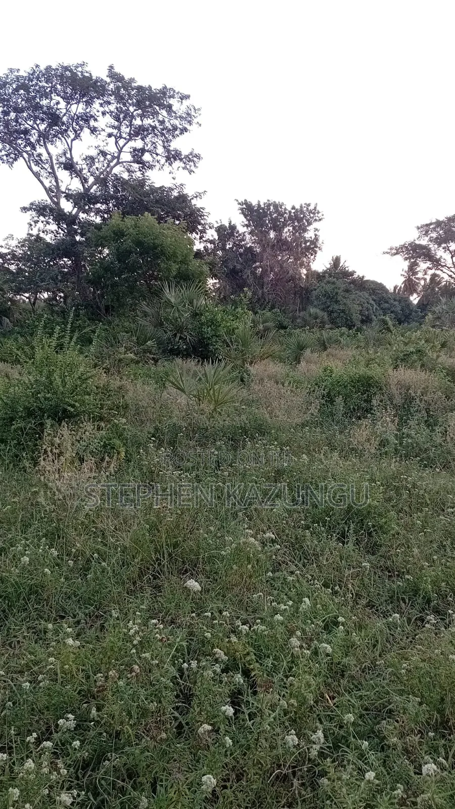 1 Acre Plot at Ganja La Simba, Close to the Road and Good Essentials