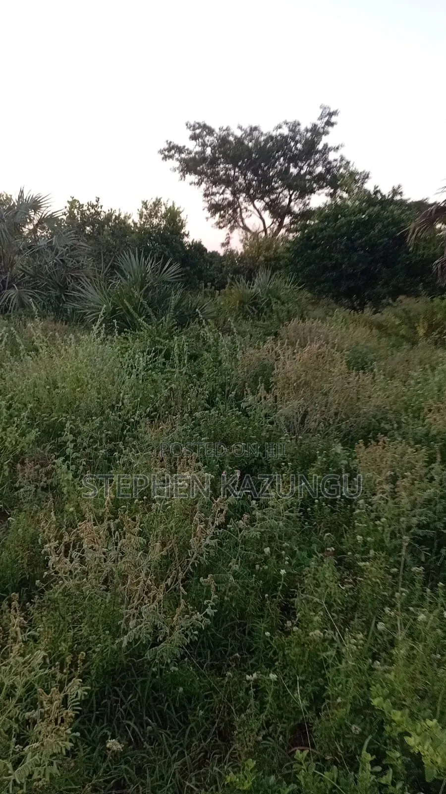 1 Acre Plot at Ganja La Simba, Close to the Road and Good Essentials