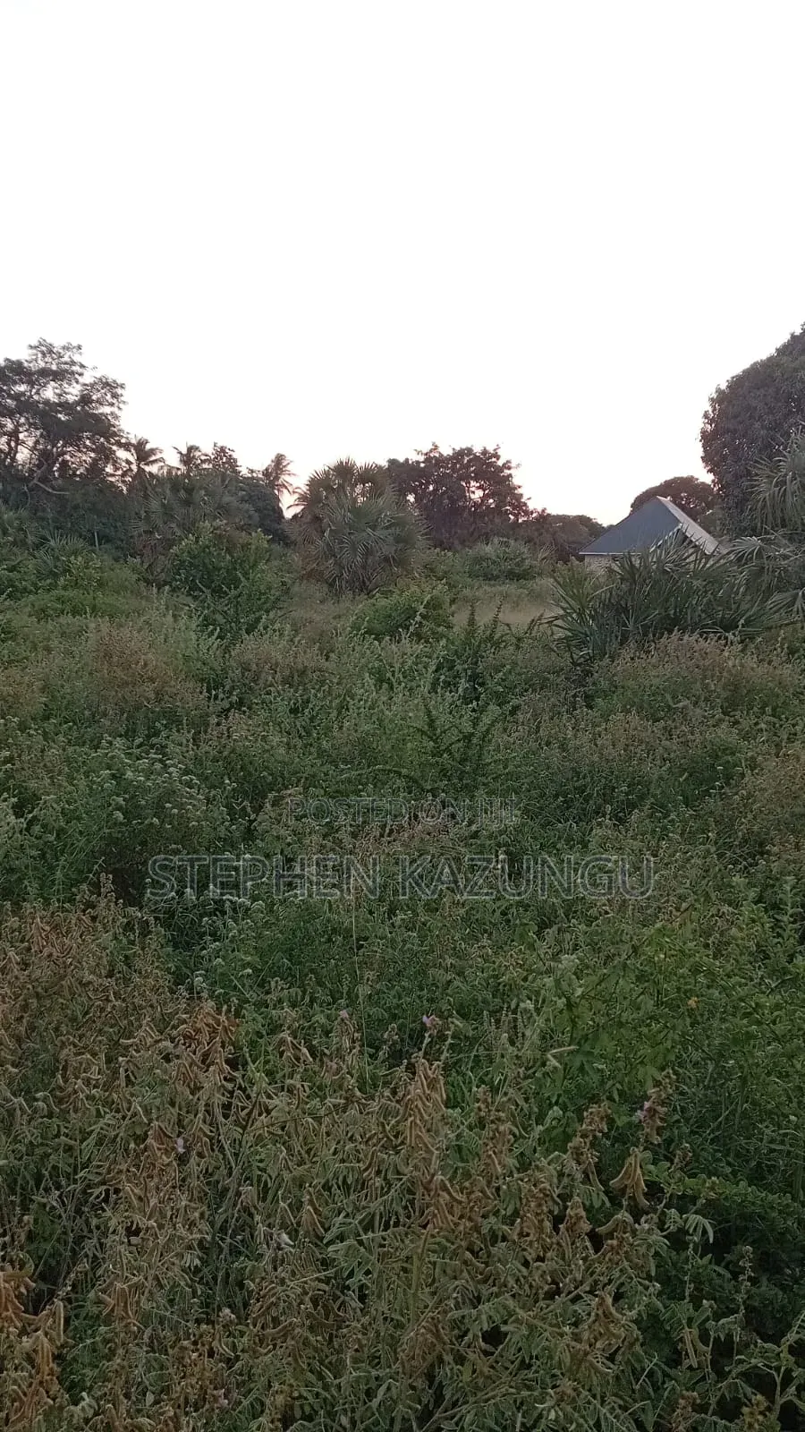 1 Acre Plot at Ganja La Simba, Close to the Road and Good Essentials