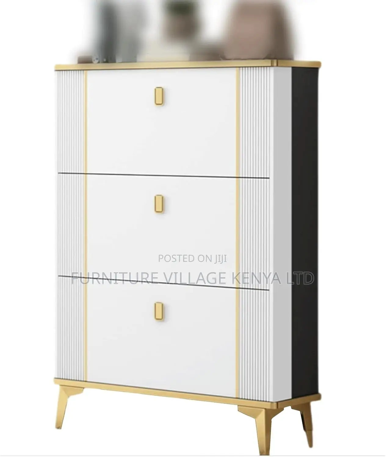Home Decor ; Modern Shoe Storage Cabinet