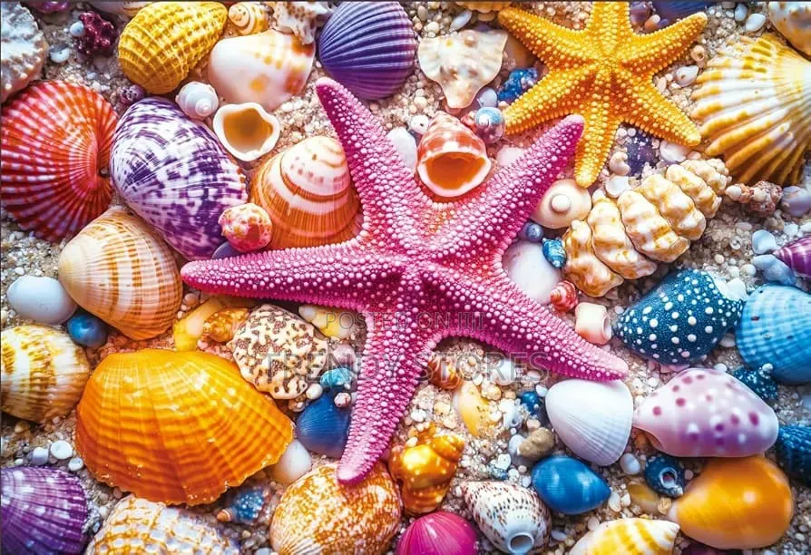 Starfish Puzzle