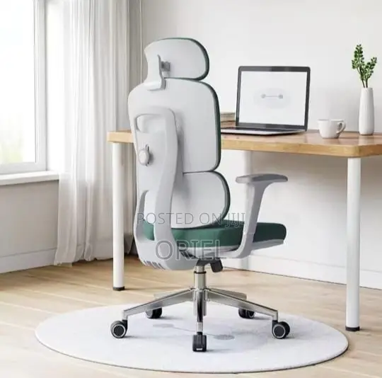 Office Chair : Green Orthopedic Office Chair