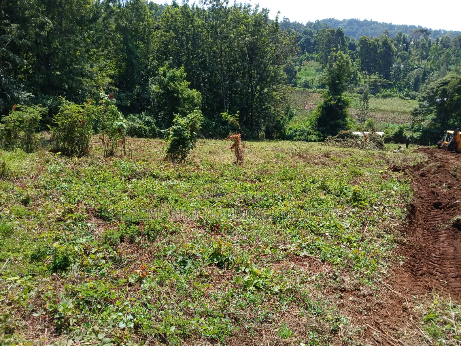 Distress! Very Prime 100 by 100 Plot in a Gated Estate, Matasia,Ngong