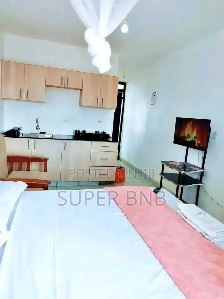 Studio Apartment Carwash Kibos Road,Kisumu