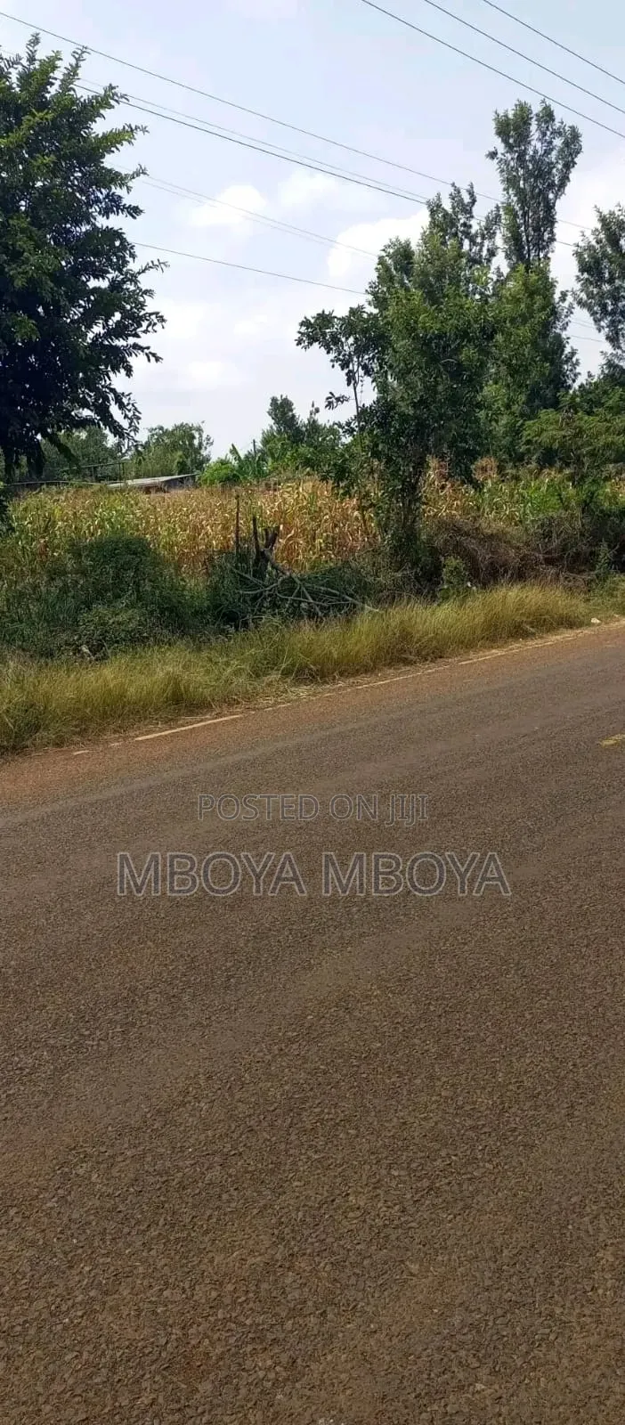 1acre Land for Sale in Brookside