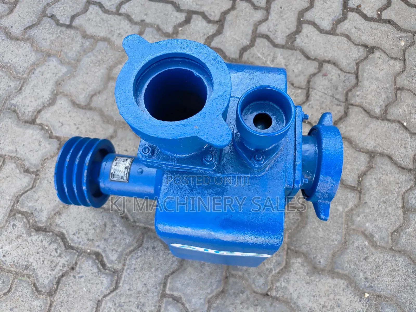Bare Pump 3inch