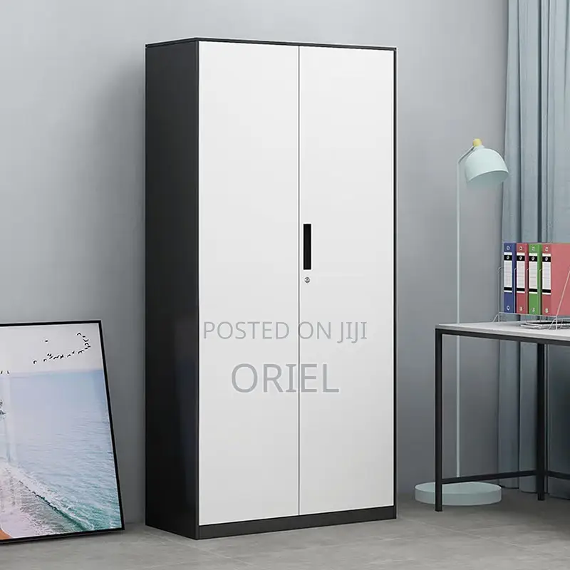 Office Cabinet : 2 Door Modern Steel Storage Cabinet