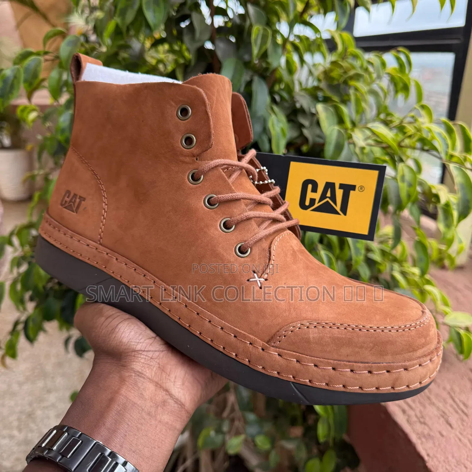 Cat High Boots