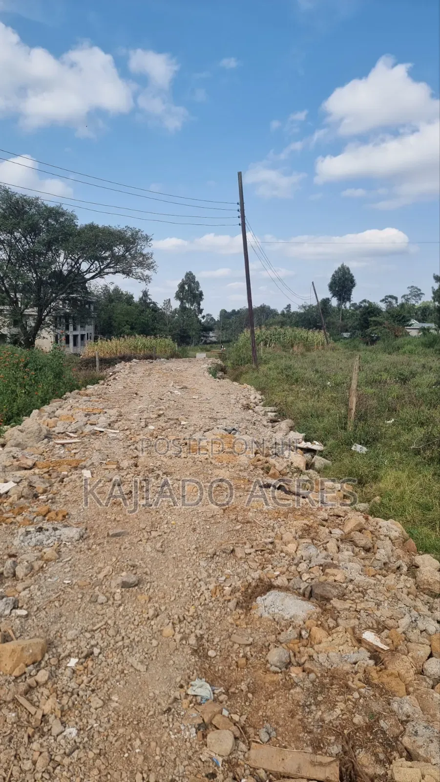 1/8 Pieces Ololua,Off Zambia Road at 4m