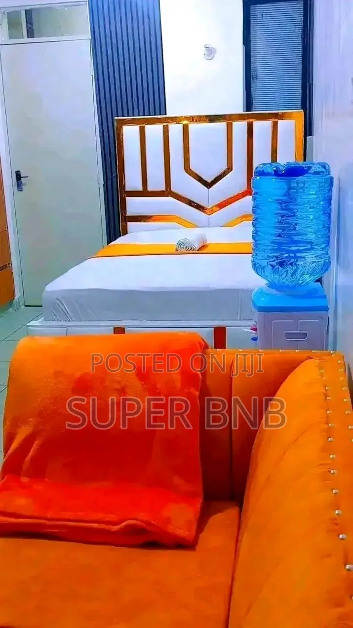 Furnished Apartments in TRM Drive and Mirema +Zimmerman (Roysambu)