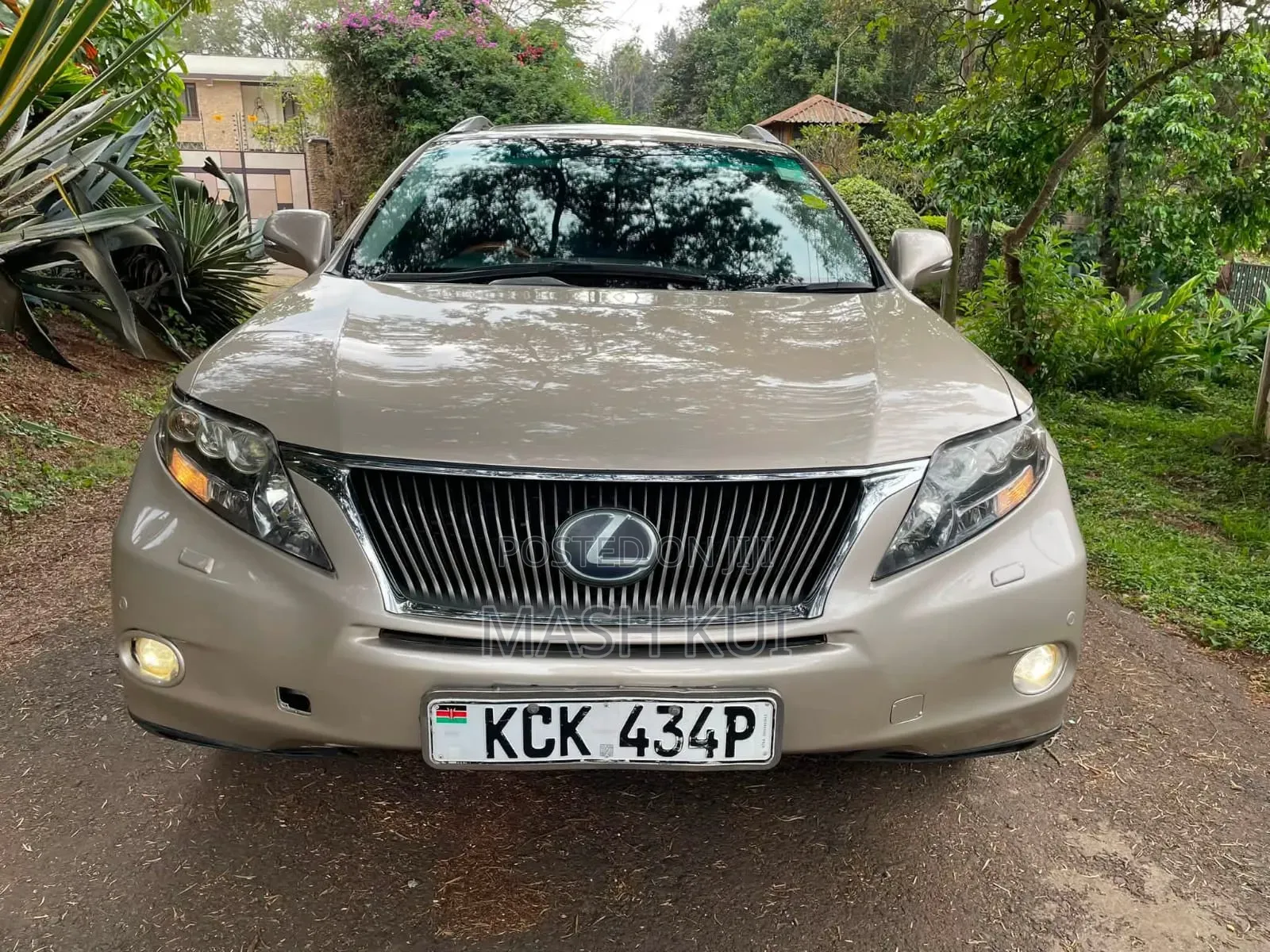 Lexus RX 2010 Gold