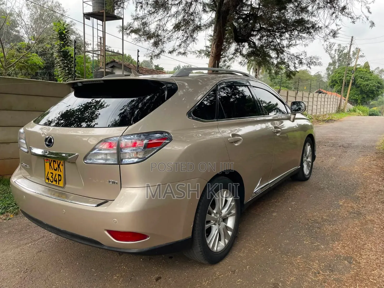 Lexus RX 2010 Gold