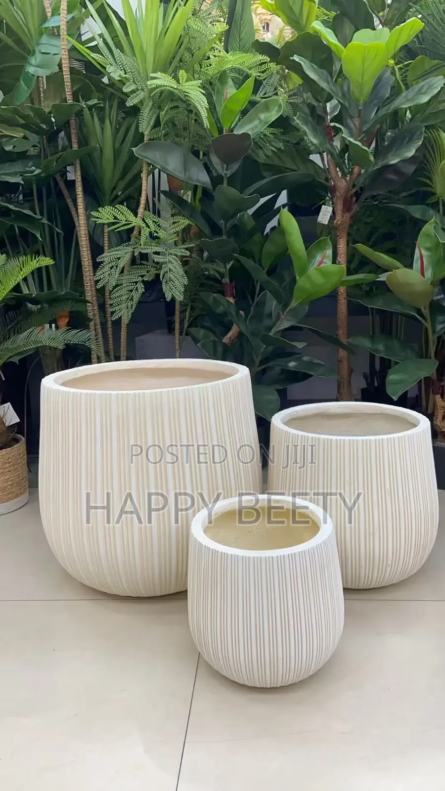 Luxury Concrete Planters 
Elegant Ribbed Crafted to Elevate Any Space