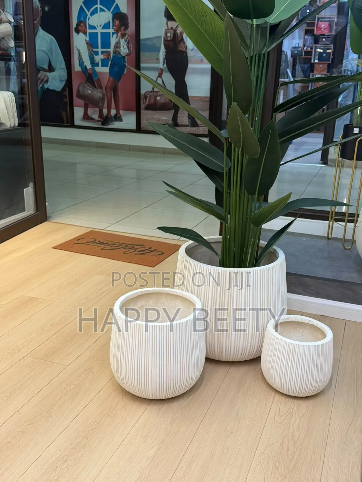 Luxury Concrete Planters 
Elegant Ribbed Crafted to Elevate Any Space