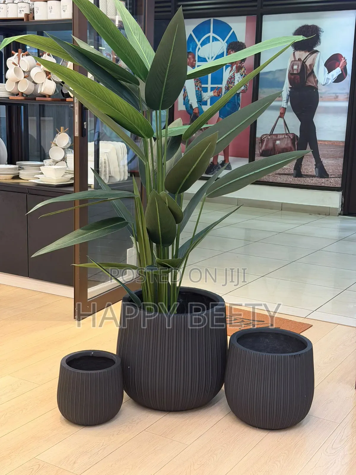 Elegant Concrete Planter