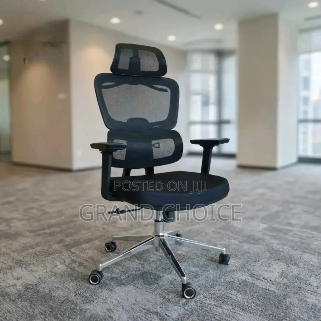 Orthopaedic Stylish Office Chair