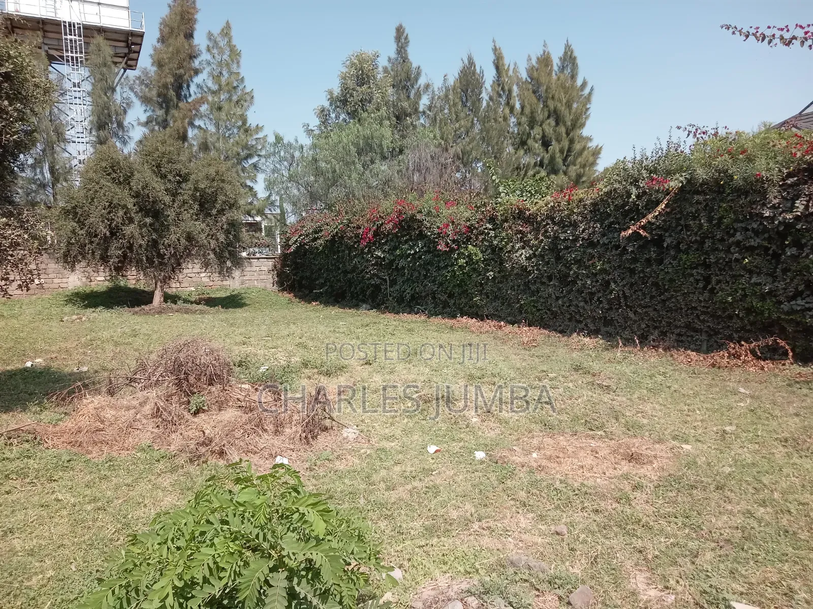 1/8 Plot Behind Almond Grove