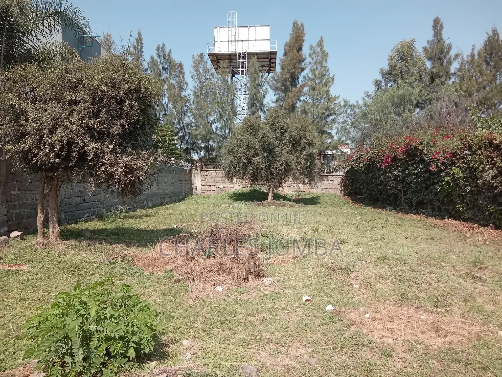 1/8 Plot Behind Almond Grove