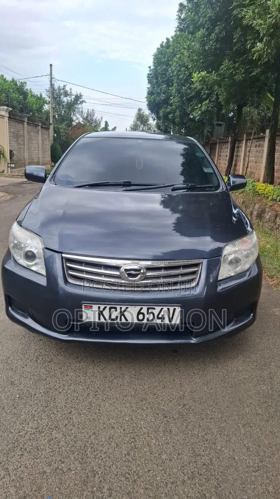 Toyota Axio 2010 Gray