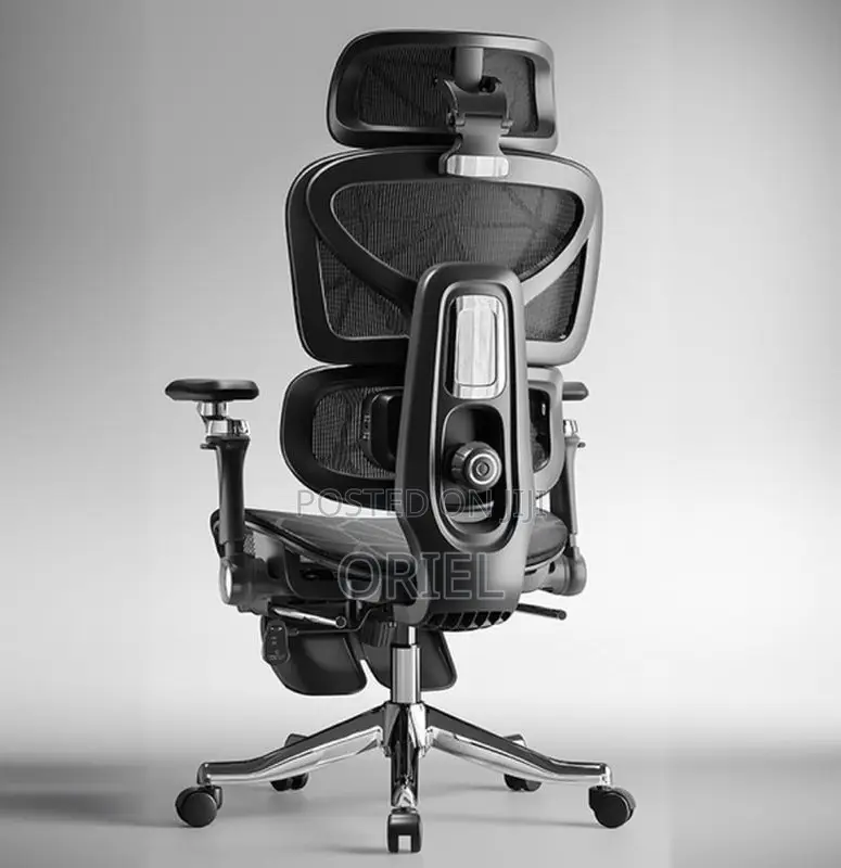 Office Chair : Executive Orthopedic Office Chair With Footrest